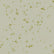 2-3 / Gold glitter