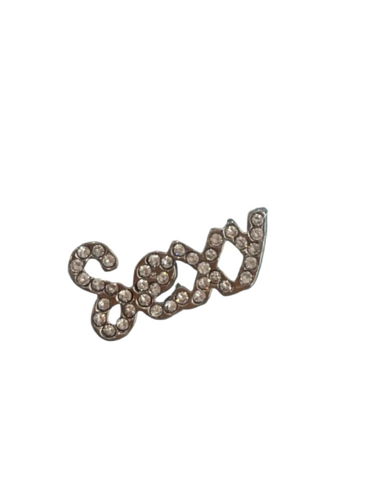 Sexy  silver charm